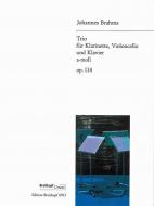 Trio A Minor Op. 114 