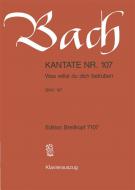 Was willst du dich betrueben BWV 107 
