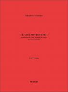 Le Voci Sottovetro Elaborazioni Da Carlo Gesualdo 