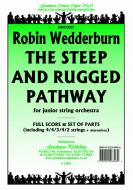 Steep and Rugged Pathway 