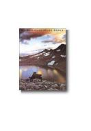 Popular Piano Solos Book 2 
