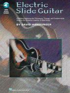 Electric Slide Guitar 