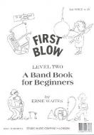 First Blow Level 1 