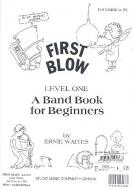 First Blow Level 1 