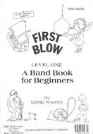 First Blow Level 1 