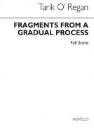 Fragments From A Gradual Process 