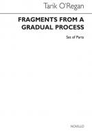 Fragments From A Gradual Process 