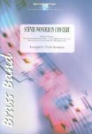 Stevie Wonder In Concert 