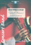 Stevie Wonder In Concert 