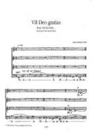 Gloria patri No 7 op. 17 