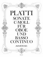 Sonata in c minor 