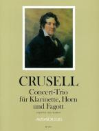 Concert-Trio 