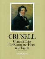 Concert-Trio 