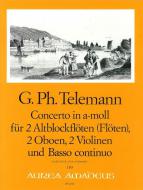 Concerto in a-moll TWV 44:42 