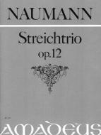 Trio in D major op. 12 