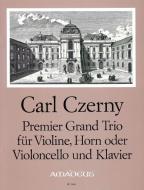 Premier Grand Trio op. 105 