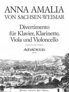 Divertimento in B major 