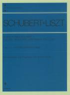13 Lieder 