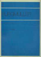 25 Easy Studies Op. 100 