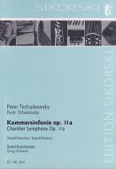 Chamber Symphony 