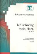 Ich schwing mein Horn ins Jammertal 