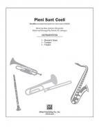 Pleni Sunt Coeli Standard