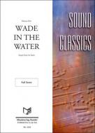 Wade In The Water 