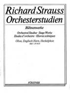 Orchestra Studies: Oboe Vol. 1 