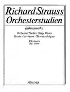 Orchestral Studies Vol. 1 