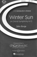 Winter Sun 