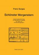 Schönster Morgenstern 