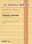 Andante sostenuto 