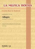 Allegro From Sonata In F For Piano, op.35 