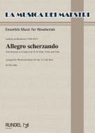 Allegro scherzando 