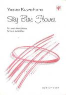 Sky Blue Flower 