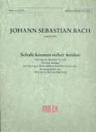 Schafe können sicher weiden 