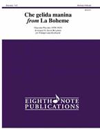 Che gelida manina from La Boheme 