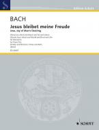 Jesu, Joy of Man's Desiring BWV 147 Standard