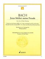 Jesu, Joy of Man's Desiring BWV 147 Standard