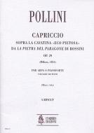 Capriccio on the Cavatina Eco pietosa 