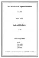 Am Zürichsee 