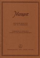 Quartette mit einem Blasinstrument - KRITISCHER BERICHT (NUR TEXT, KEINE NOTEN) 