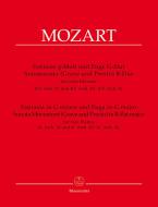 Fantasie g-Moll und Fuge G-Dur / Sonatensatz Standard