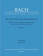 The Spirit helps our weakness BWV 226 Standard