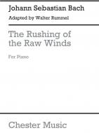 The Rushing of The Raw Winds 