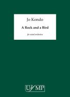 A Rock and A Bird 