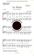 Im Walde 