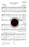 Trösterin Musik 