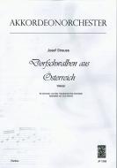 Dorfschwalben aus Österreich 