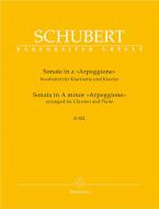 Sonata in A minor 'Arpeggione' D 821 Standard